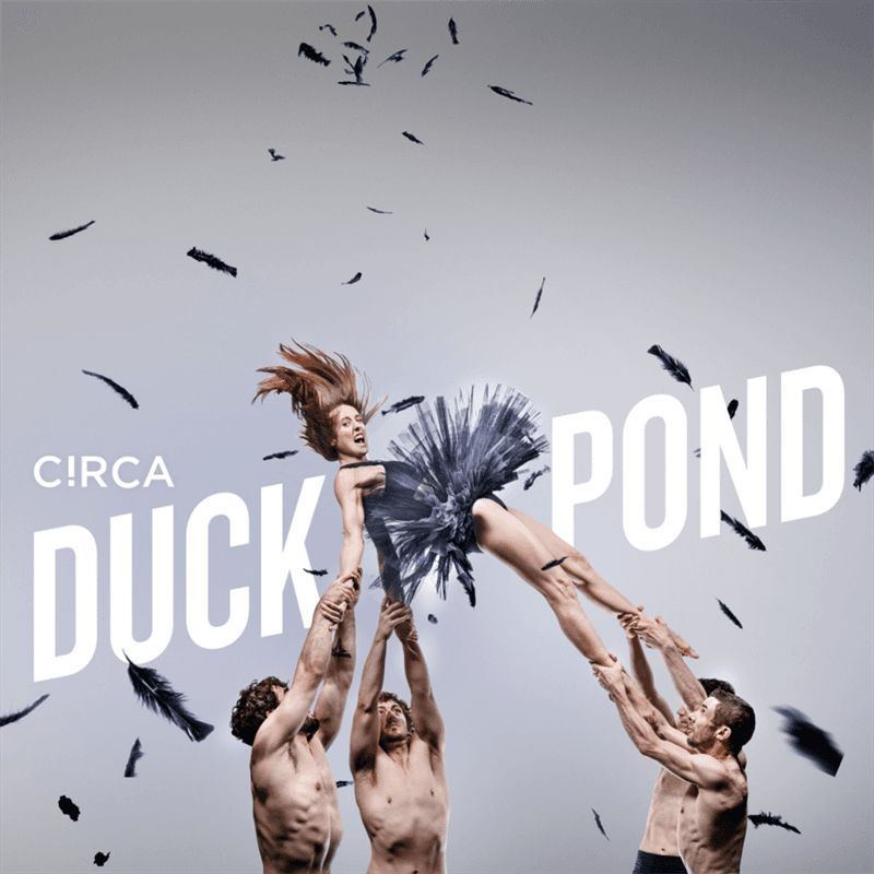 DUCK POND - COMING SOON